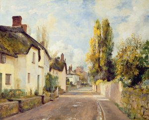 Scena di strada del villaggio